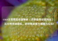 CSGO王哥独家设置解析（含职业哥设置网站），从分辨率到键位，助你精准提升瞄准与反应！