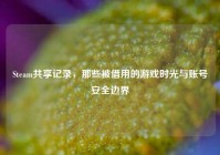 Steam共享记录，那些被借用的游戏时光与账号安全边界
