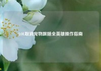 LOL取消宠物跟随全英雄操作指南