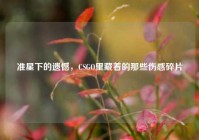 准星下的遗憾，CSGO里藏着的那些伤感碎片