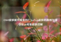 CSGO皮肤能升暗金吗？StatTrak皮肤的真相与误区及AK暗金皮肤详解