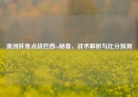美洲杯焦点战巴西vs秘鲁，战术解析与比分预测