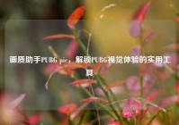 画质助手PUBG pic，解锁PUBG视觉体验的实用工具