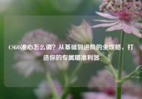 CSGO准心怎么调？从基础到进阶的全攻略，打造你的专属瞄准利器