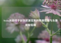 Steam从游戏平台到资源宝库的多维挖掘与头像提取指南