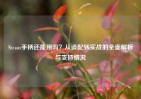 Steam手柄还能用吗？从适配到实战的全面解析与支持情况