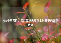 NBA中国官网，架起篮球热爱与全球赛事的数字桥梁