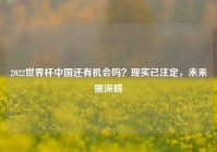 2022世界杯中国还有机会吗？现实已注定，未来需深耕