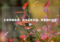 王者荣耀蓝澜，那抹蓝是资源，更是团队的心跳