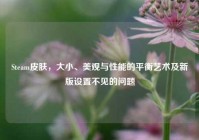 Steam皮肤，大小、美观与性能的平衡艺术及新版设置不见的问题