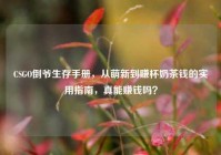 CSGO倒爷生存手册，从萌新到赚杯奶茶钱的实用指南，真能赚钱吗？