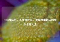 CSGO战队名，不止是代号，更是精神烙印的战队名称大全