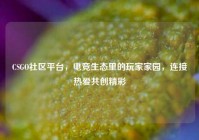 CSGO社区平台，电竞生态里的玩家家园，连接热爱共创精彩