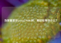 当屏幕显示Loading PUBG时，我们在等待什么？