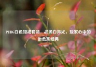 PUBG白色短裙套装，战场白月光，玩家心中的治愈系经典
