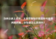 当峡谷遇上战场，王者荣耀和平精英称号里的两栖热爱，你知道怎么获得吗？