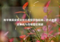 和平精英皮肤及碎片直接获取指南，合法途径全解析与违规雷区规避
