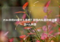 PUBG中的DM是什么意思？游戏内私信功能详解及Pubg科普