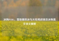 冰狗PUBG，雪地里的冰与火吃鸡战场及冰狗英文含义解析