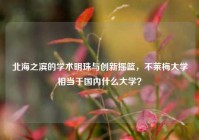 北海之滨的学术明珠与创新摇篮，不莱梅大学相当于国内什么大学？