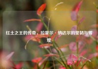 红土之王的传奇，拉斐尔·纳达尔的坚韧与辉煌