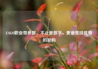 CSGO职业哥参数，不止是数字，更是竞技优势的密码