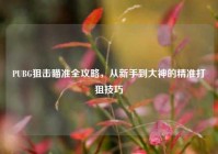 PUBG狙击瞄准全攻略，从新手到大神的精准打狙技巧