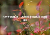PUBG老板键位置、快速隐藏游戏窗口指南及按键表
