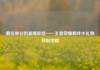 藏在峡谷的温暖联结——王者荣耀羁绊小礼物获取攻略