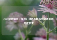CSGO绿莓烟雾，从冷门绿色系皮肤到战术利器的逆袭史