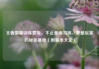 王者荣耀训练营版，不止是练习场，更是玩家的秘密基地（附版本大全）