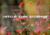 CF黑龙怎么刷？别信骗局！官方正规获取指南