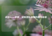 战队Steam徽章，凝聚团队荣耀的数字勋章