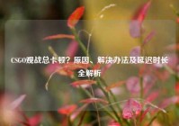 CSGO观战总卡顿？原因、解决办法及延迟时长全解析