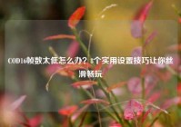 COD16帧数太低怎么办？8个实用设置技巧让你丝滑畅玩