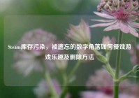 Steam库存污染，被遗忘的数字角落如何侵蚀游戏乐趣及删除方法