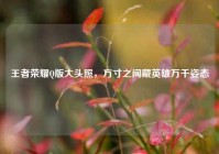 王者荣耀Q版大头照，方寸之间藏英雄万千姿态