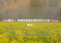 CSGO猎犬1，突破型新星的赛场利刃之路（Steam猎犬）