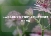 Steam怎么看好友/队友直播？手把手教你快速找到并观看