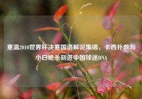 重温2010世界杯决赛国语解说集锦，卡西扑救与小白绝杀刻进中国球迷DNA