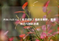 PUBG FAZE Clan（痱子战队）成员全解析，赛场利刃与团队灵魂