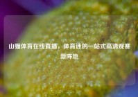 山猫体育在线直播，体育迷的一站式高清观赛新阵地