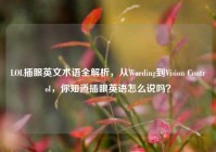LOL插眼英文术语全解析，从Warding到Vision Control，你知道插眼英语怎么说吗？