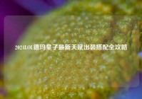 2024LOL德玛皇子最新天赋出装搭配全攻略