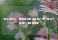 棍子哥CSGO，从职业赛场到直播江湖，硬核之棍敲出传奇与历史