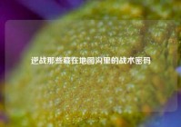 逆战那些藏在地图沟里的战术密码