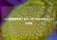 CSGO直播哪里看？官方+热门平台地址及入口全指南
