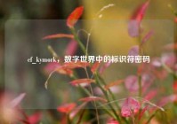 cf_kymork，数字世界中的标识符密码
