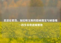 圣洛伦索岛，加拉帕戈斯的隐秘瑰宝与秘鲁唯一的生命奇迹观察地
