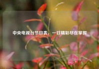 中央电视台节目表，一日精彩尽在掌握